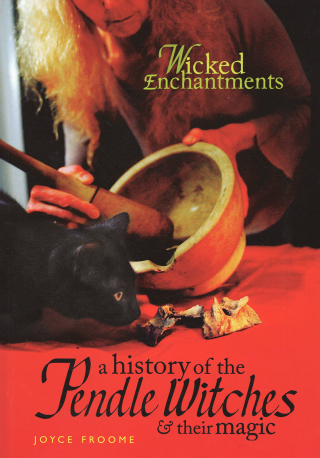 Front cover of 'Wicked Enchantments' by Joyce Froome
