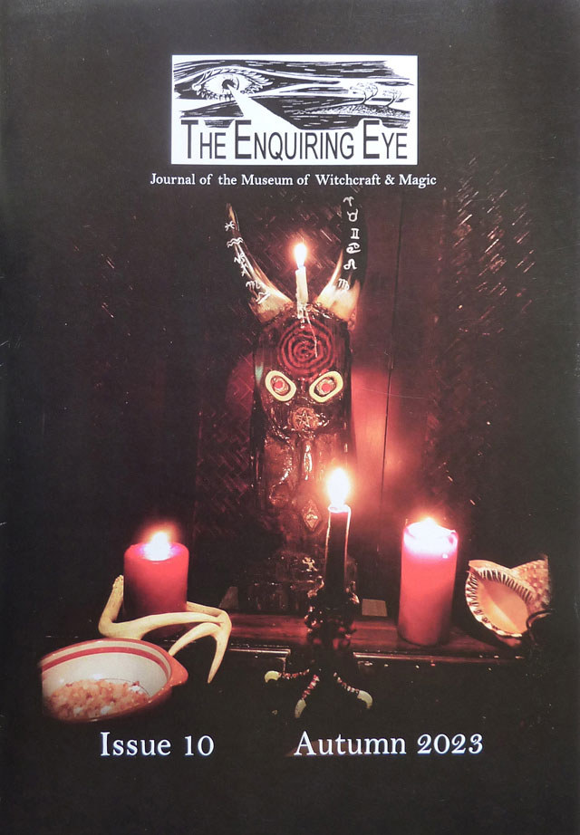 Front cover of 'The Enquiring Eye'